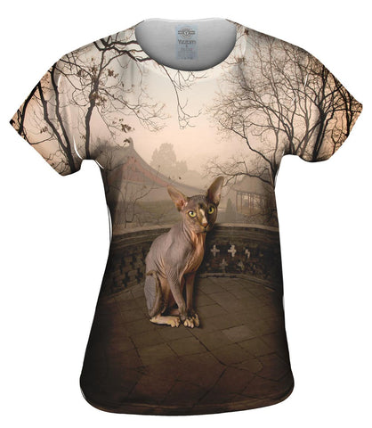 Sphynx Cat Sunset