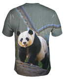 Panda On Patrol