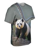 Panda On Patrol