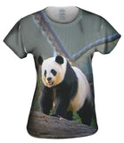 Panda On Patrol