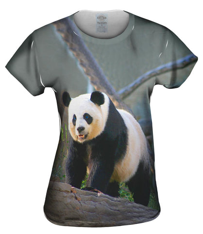 Panda On Patrol