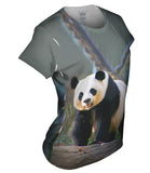 Panda On Patrol