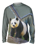 Panda On Patrol
