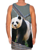 Panda On Patrol