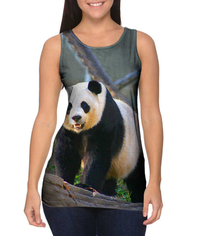 Panda On Patrol