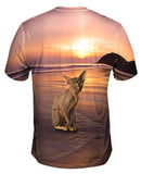 Sphynx Cat Beach Sunset