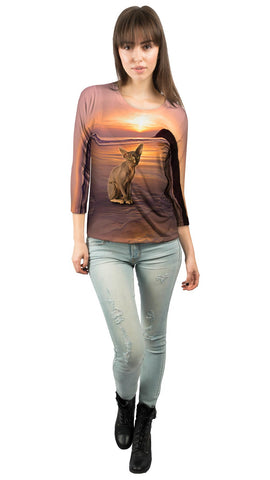 Sphynx Cat Beach Sunset