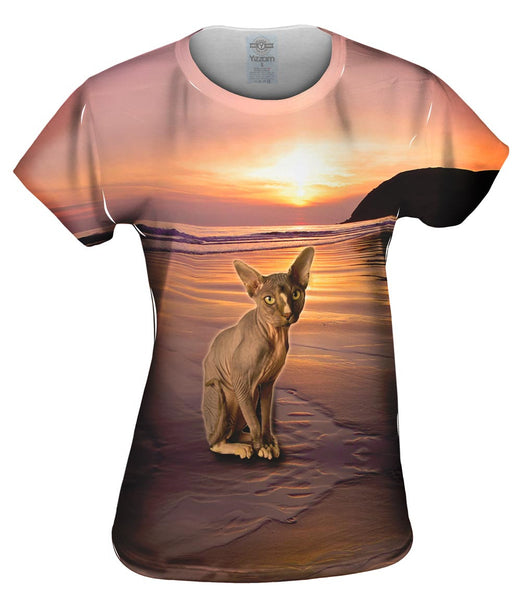 Sphynx Cat Beach Sunset Womens Top