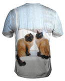 Siamese Cats Networking