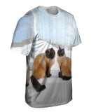 Siamese Cats Networking