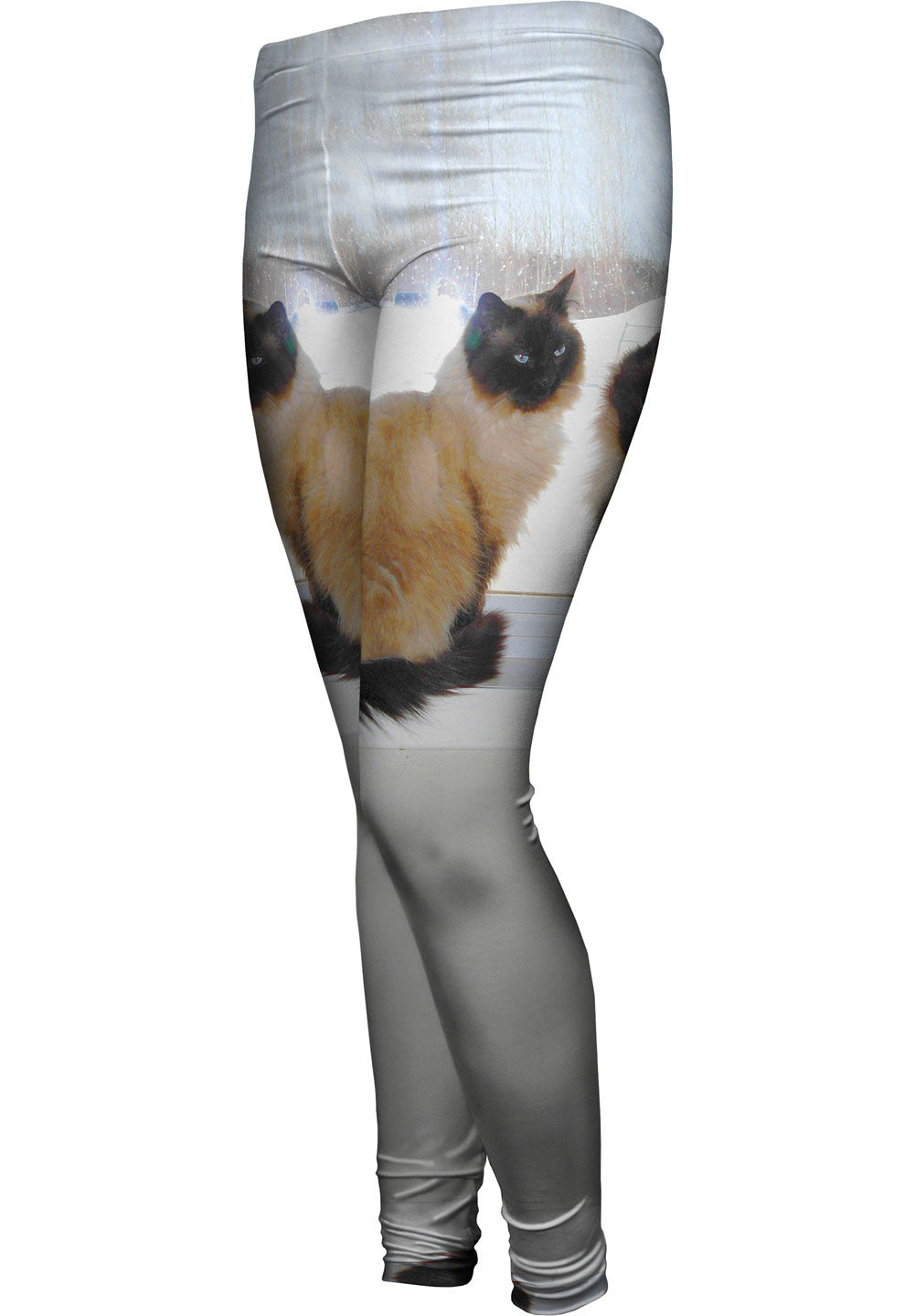 Cats 2025 wearing leggings