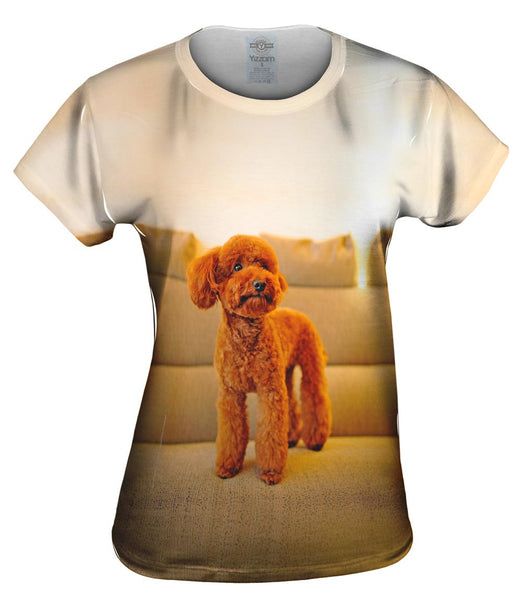 Toy Poodle Watching Closely Womens Top