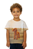 Kids Toy Poodle Watching Closely