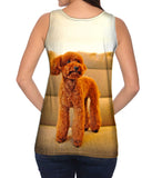 Toy Poodle Watching Closely