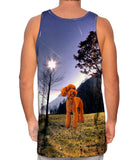 Toy Poodle Forest
