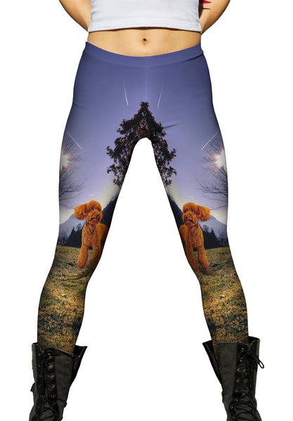 Toy Poodle Forest&nbsp;Womens Leggings