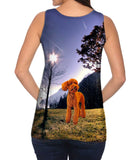 Toy Poodle Forest