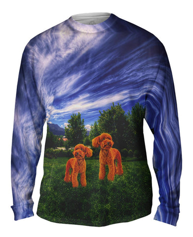 Toy Poodle Twins