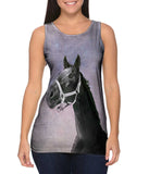 Purple Sky Horse