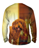 Brown Poodle Loves Life