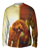 Brown Poodle Loves Life
