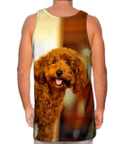 Brown Poodle Loves Life