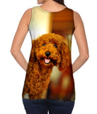 Brown Poodle Loves Life