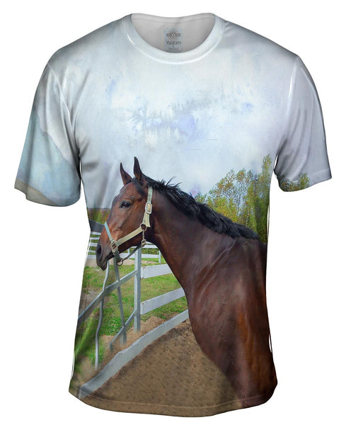 Thoughtful Stable Horse Mens T-Shirt