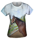 Thoughtful Stable Horse