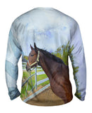 Thoughtful Stable Horse