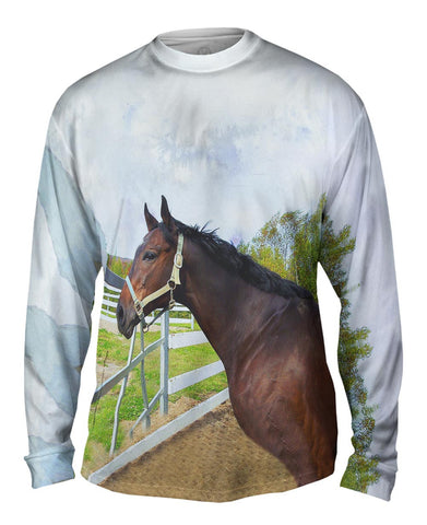 Thoughtful Stable Horse