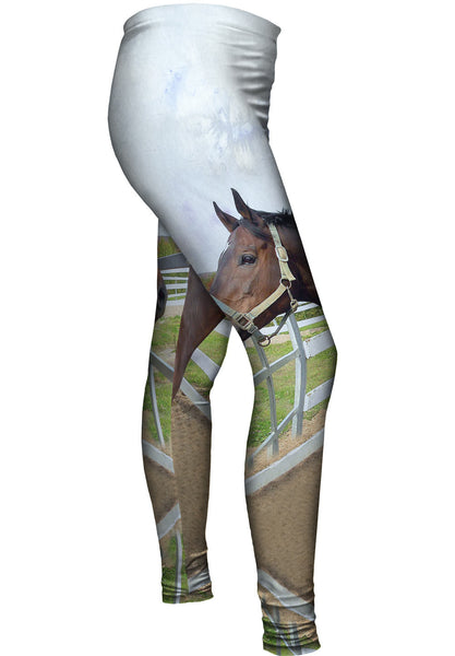 Thoughtful Stable Horse Womens Leggings
