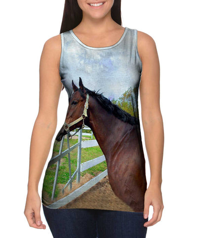 Thoughtful Stable Horse