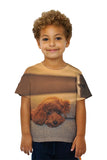 Kids Chocolate Toy Poodle Stare
