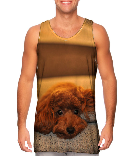 Chocolate Toy Poodle Stare&nbsp;Mens Tank Top