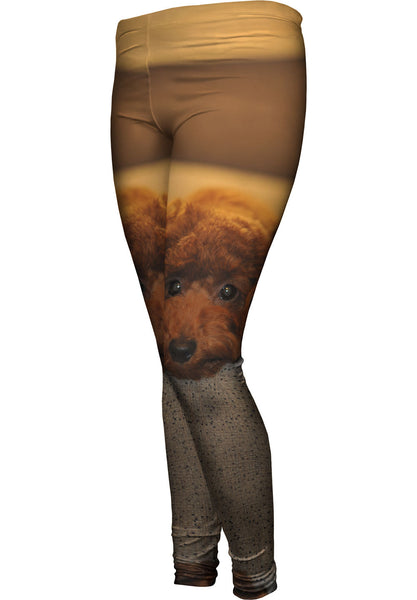 Chocolate Toy Poodle Stare Womens Leggings
