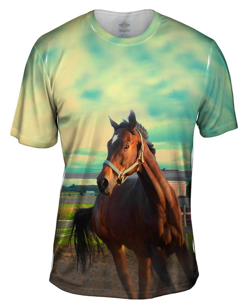 Horse Out For A Run Mens T-Shirt
