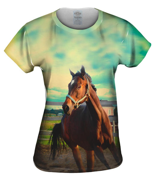 Horse Out For A Run Womens Top