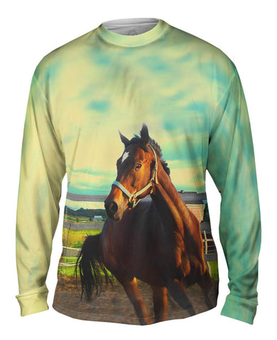 Horse Out For A Run