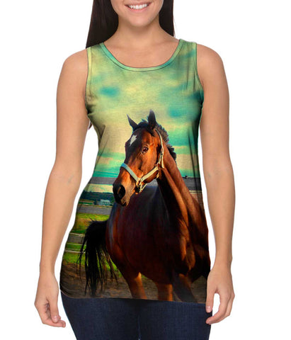 Horse Out For A Run
