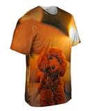 Cute Toy Couch Poodle