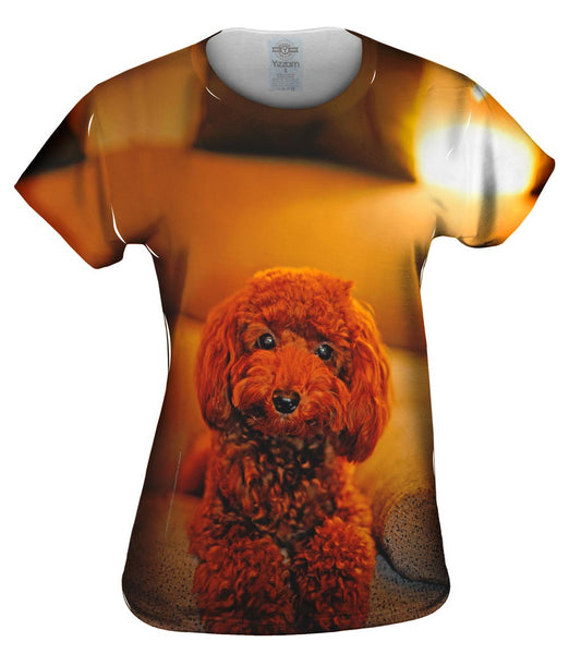 Cute Toy Couch Poodle Womens Top