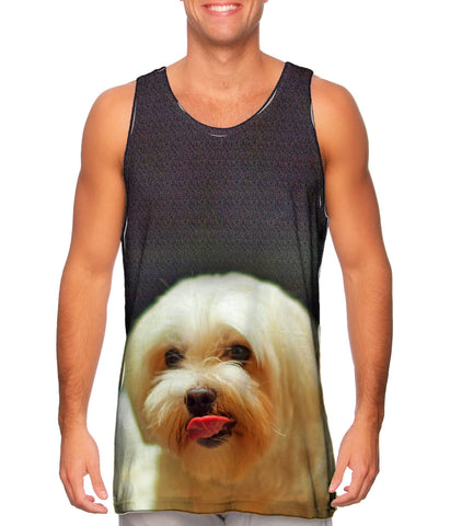 Lip Lick Maltese