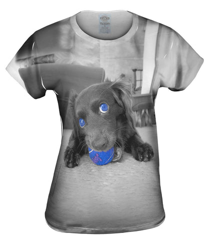 Retro Spaniel