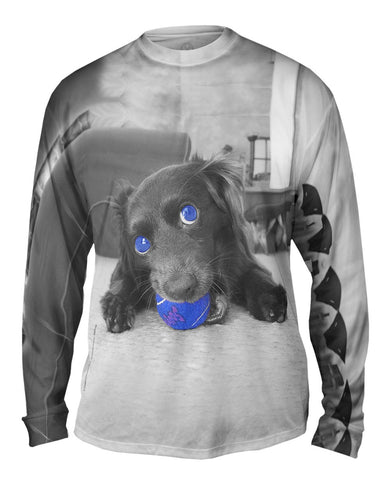 Retro Spaniel