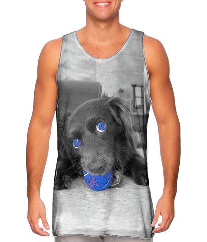 Retro Spaniel