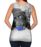 Retro Spaniel