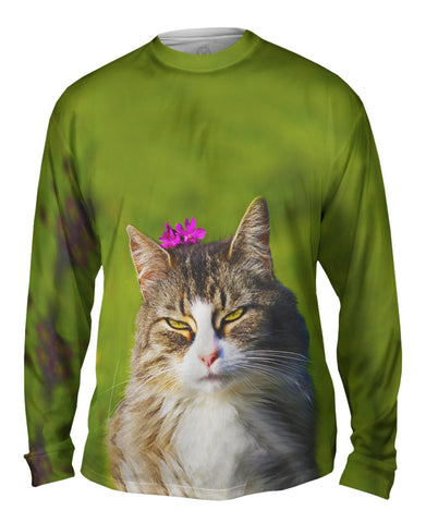 Forest Cat