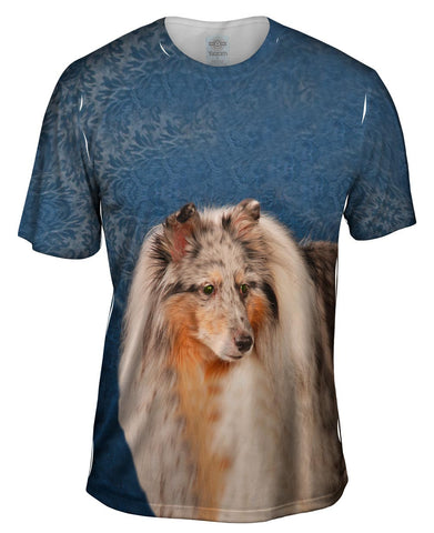 Blue Wallpaper Sheltie