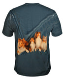 Sheltie Clan